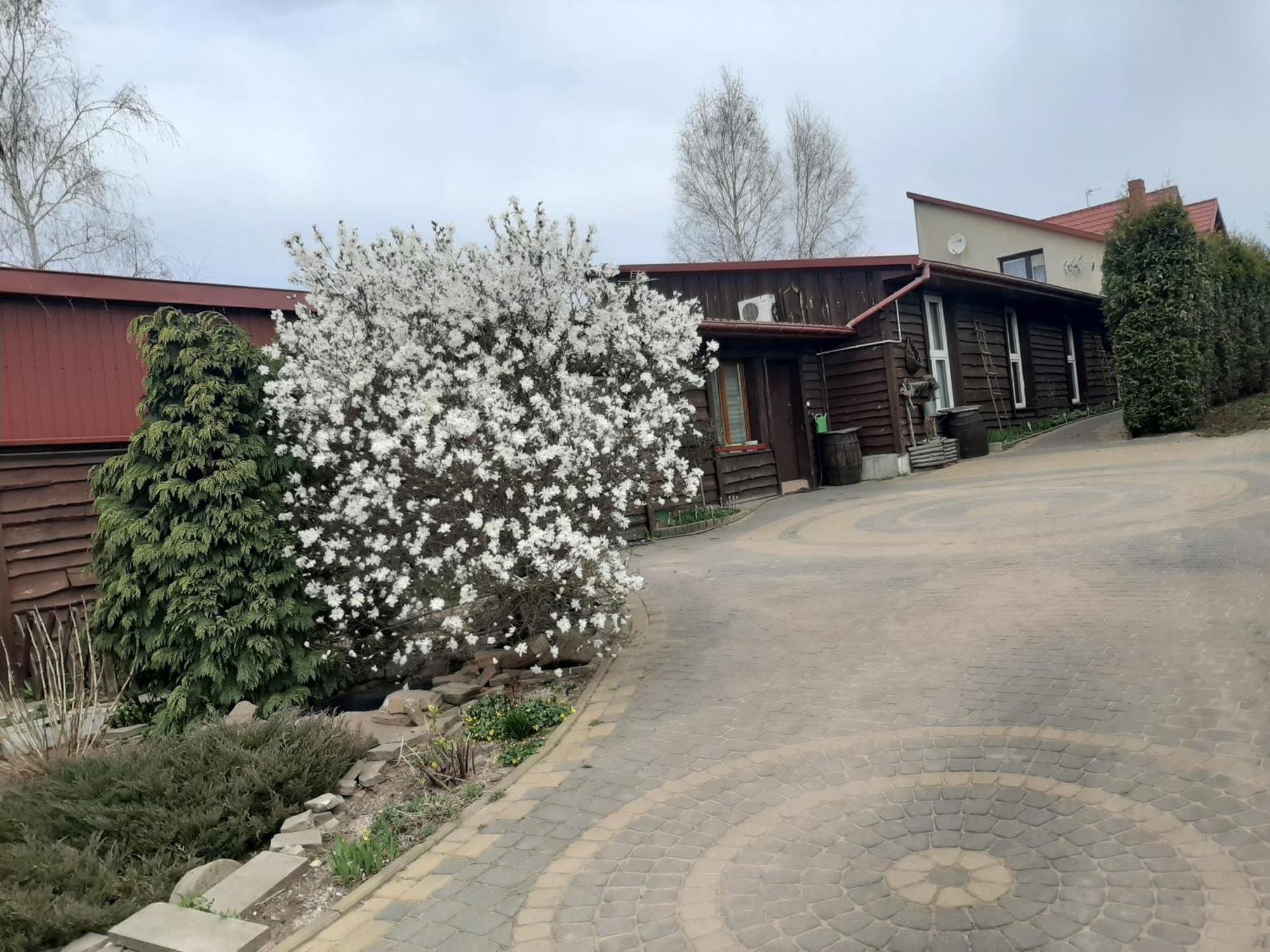 Zielone Zacisze Apartment Zagnansk Bagian luar foto