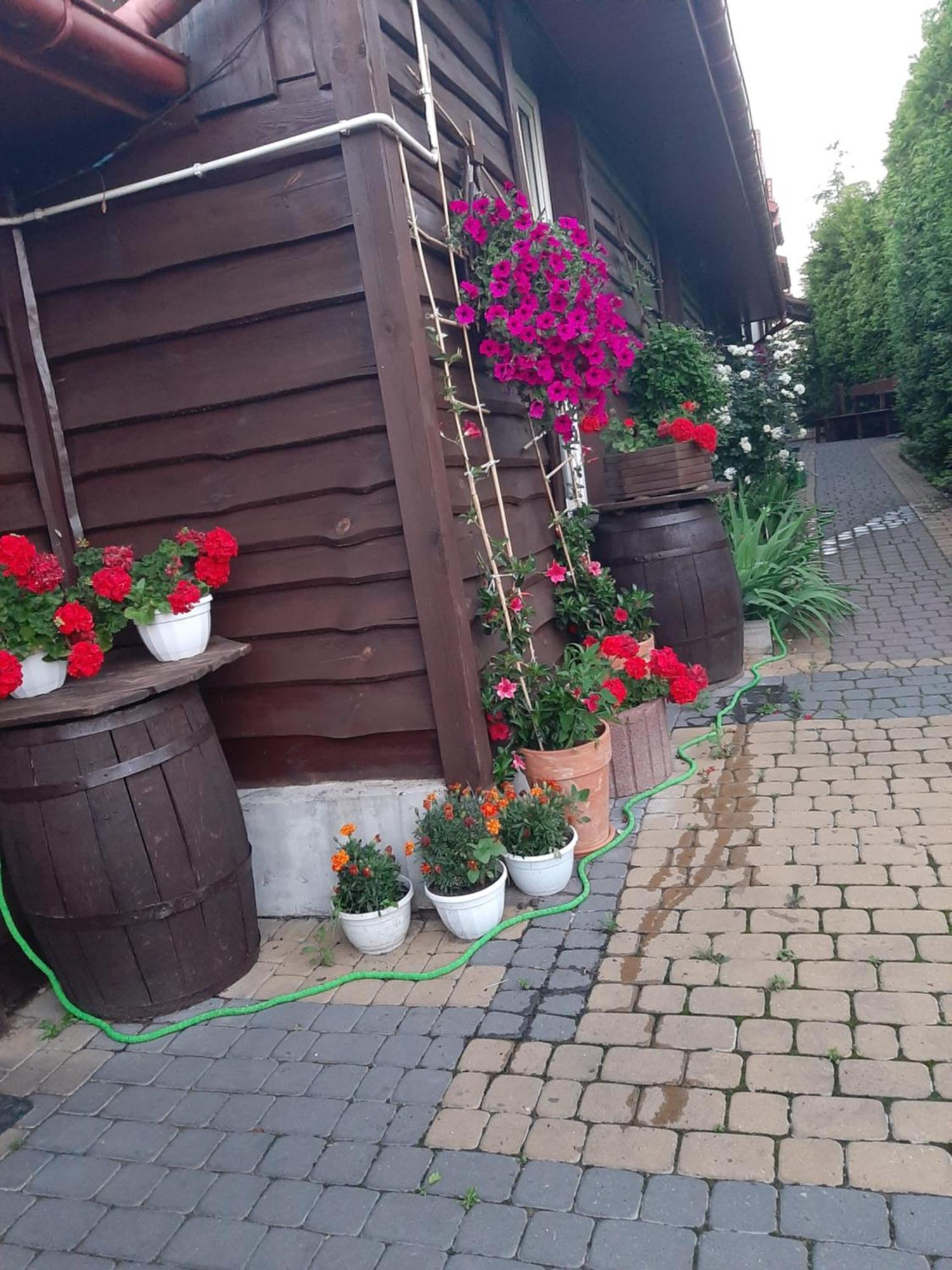 Zielone Zacisze Apartment Zagnansk Bagian luar foto
