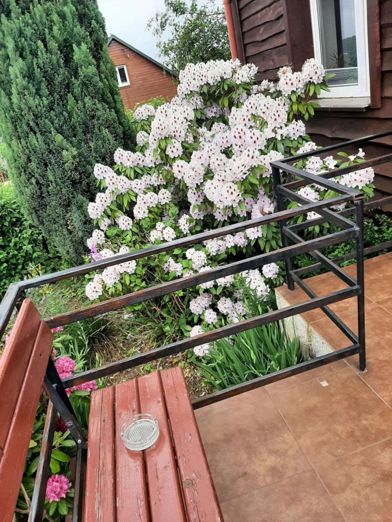 Zielone Zacisze Apartment Zagnansk Bagian luar foto